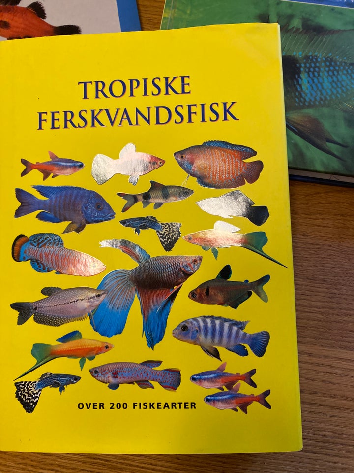 Jeg har akvariefisk, tropiske