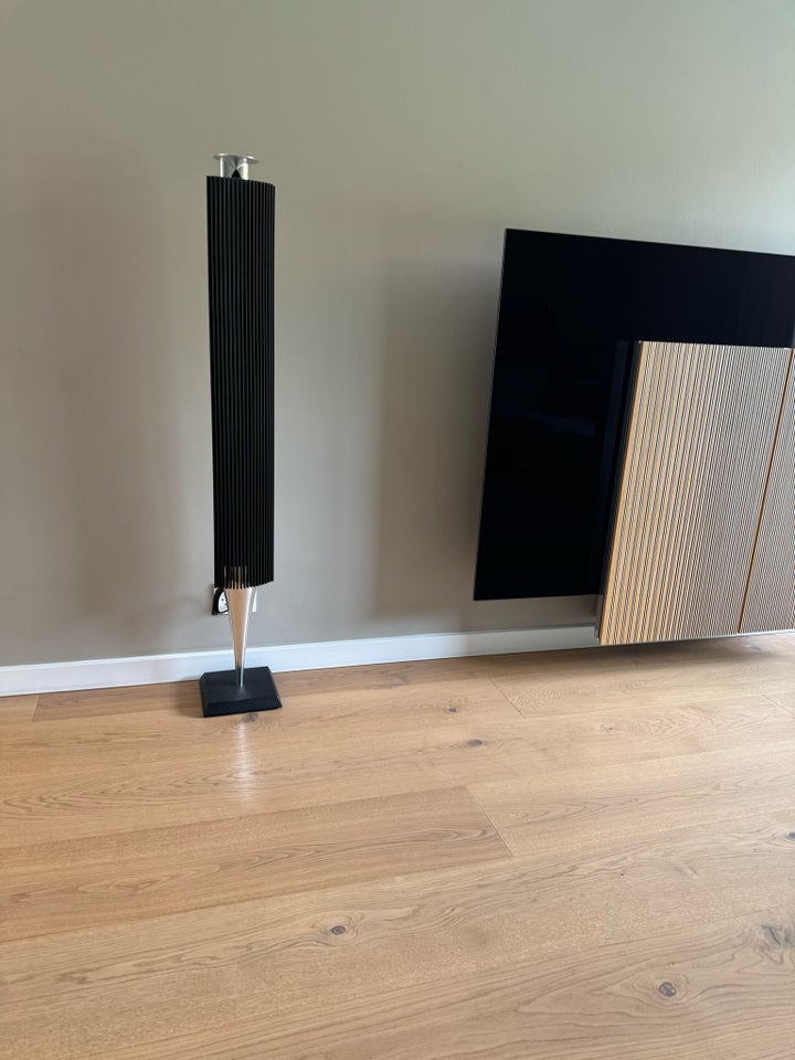 Højttaler Bang  Olufsen Beolab