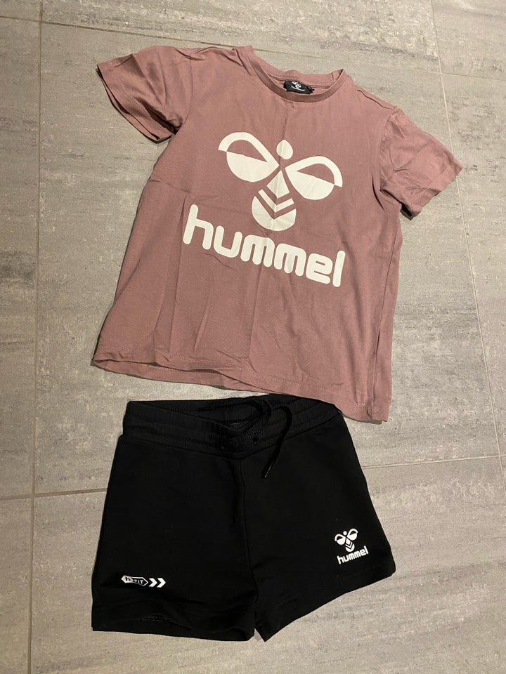 Sæt, Sæt, Hummel