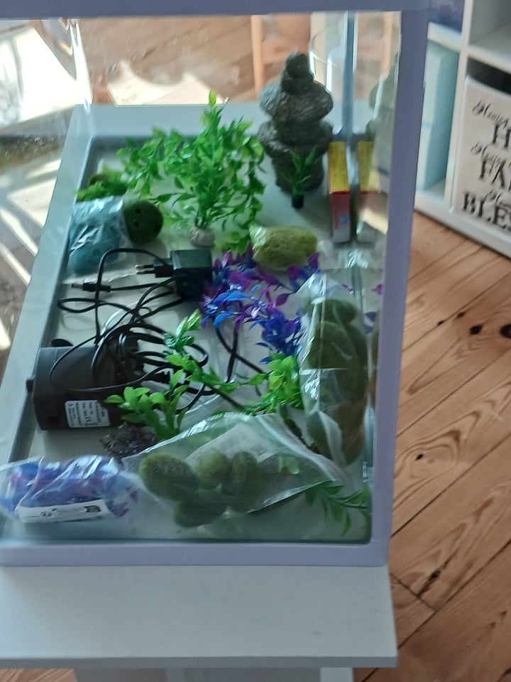 Akvarium, 81 liter