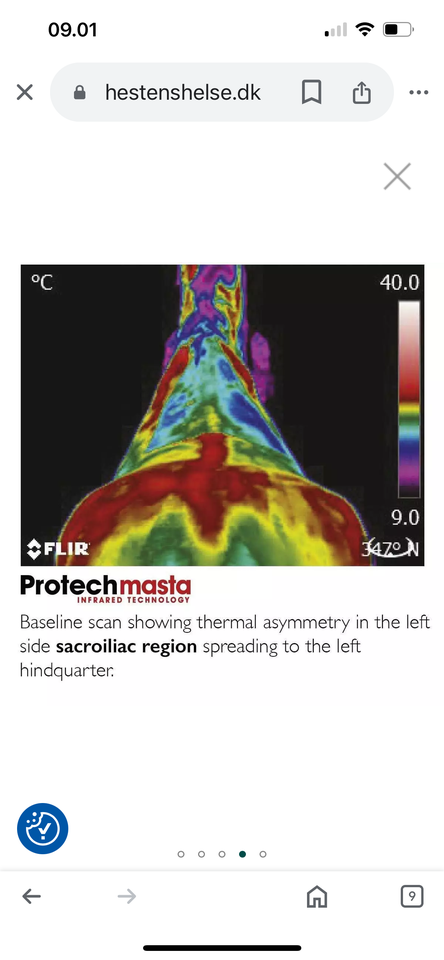 Protec masta infrared dækken