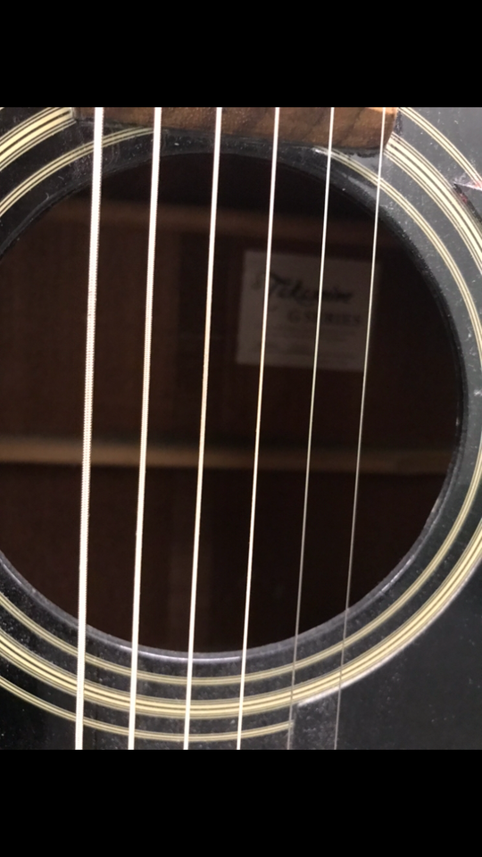 Western, Takamine Gseries