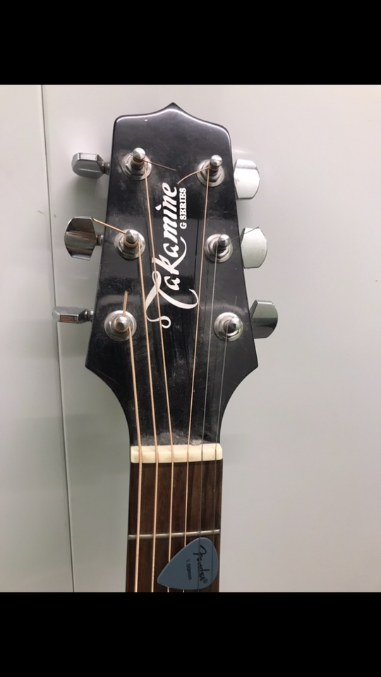 Western, Takamine Gseries