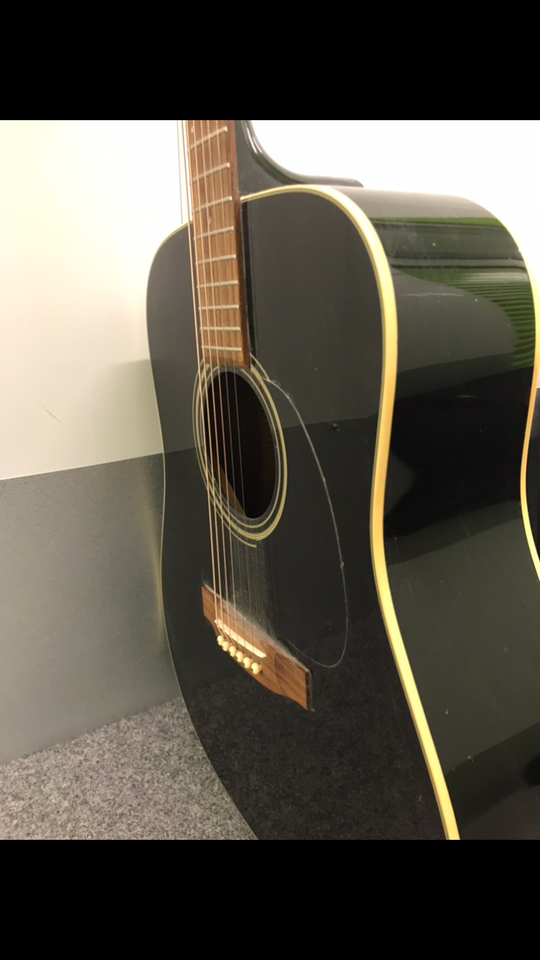 Western, Takamine Gseries