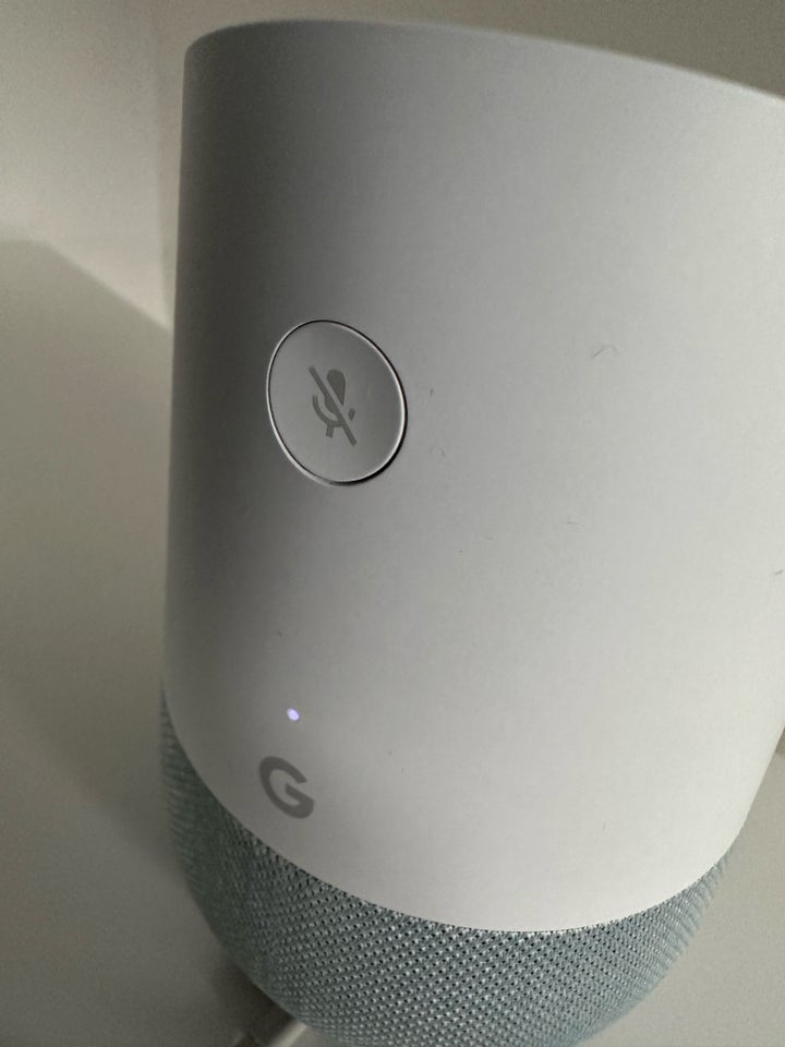 Andet, Google Home