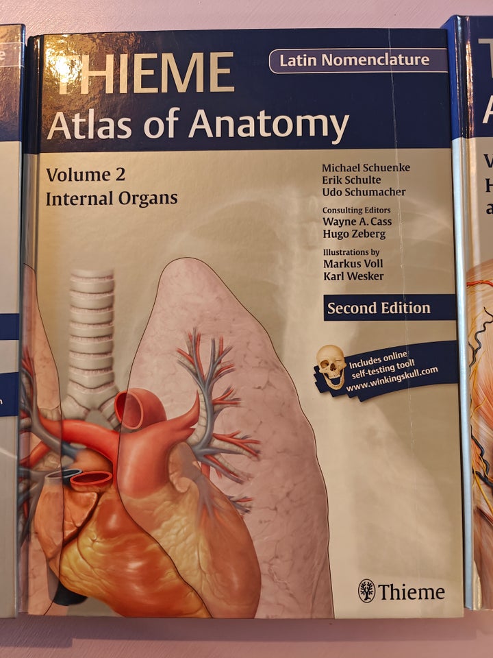 Thieme Atlas of Anatomy, Michael