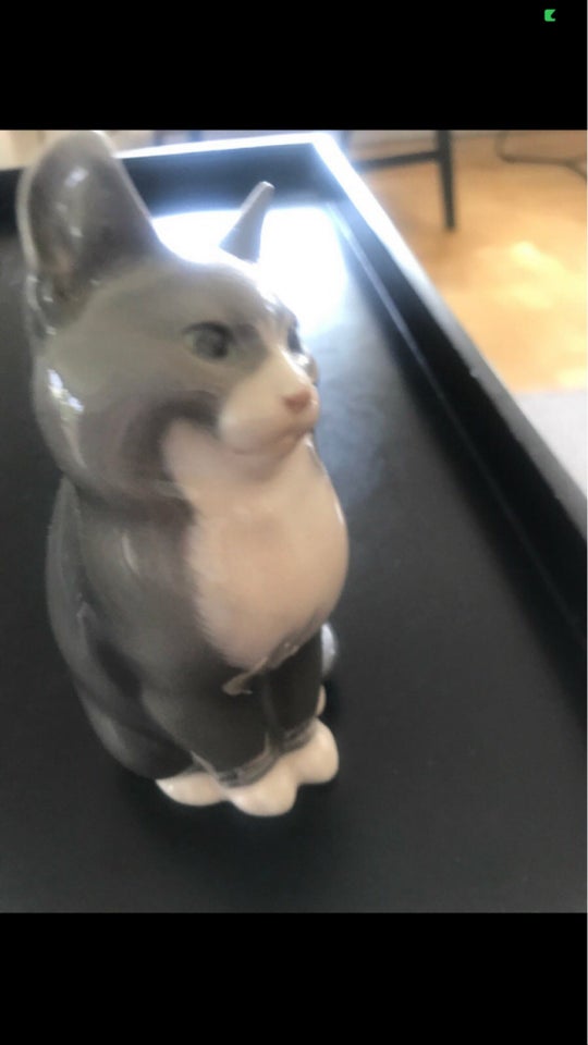 Porcelæn Kat