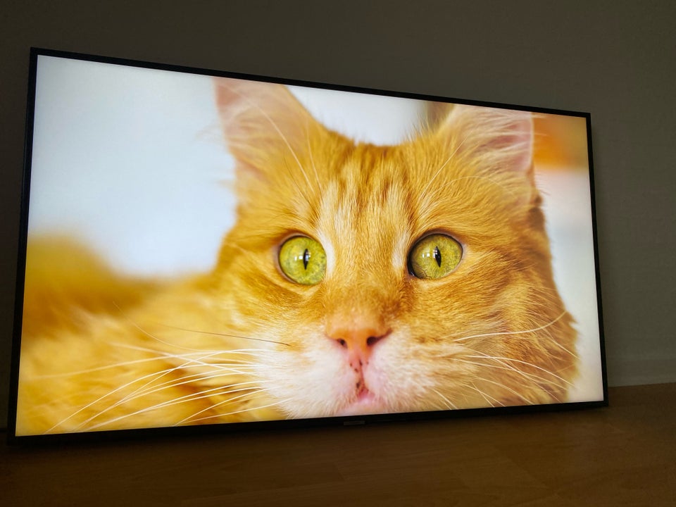 andet, Samsung, 55"