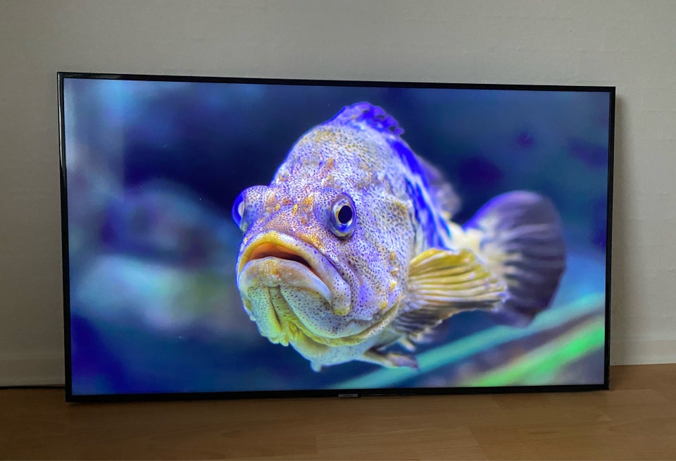 andet, Samsung, 55"