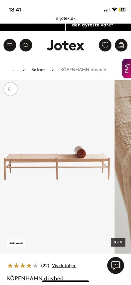 Anden arkitekt, Daybed