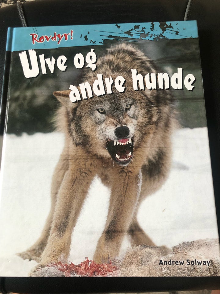 Ulve og andre hunde, Andrew