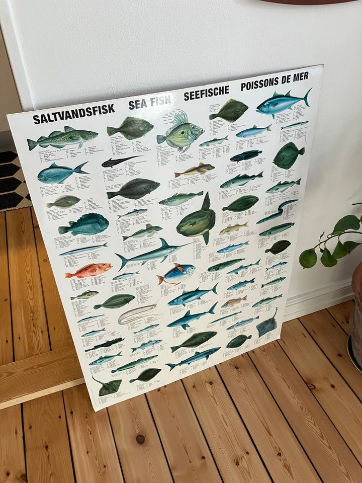 Plakat med fisk på træplade motiv: