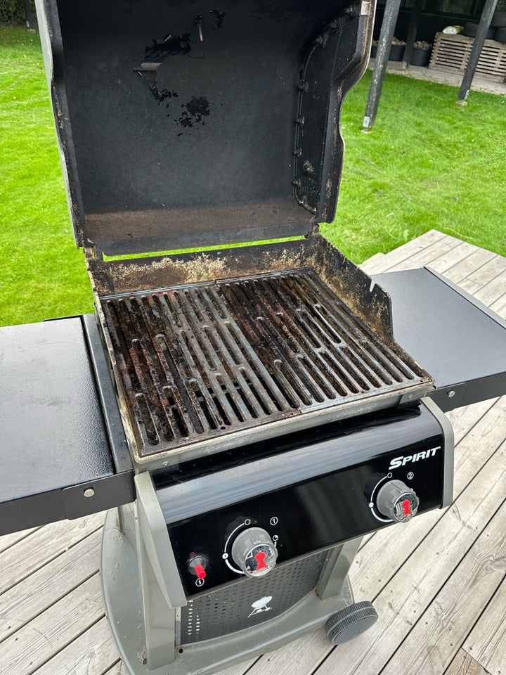 Gasgrill Weber Spirit 210