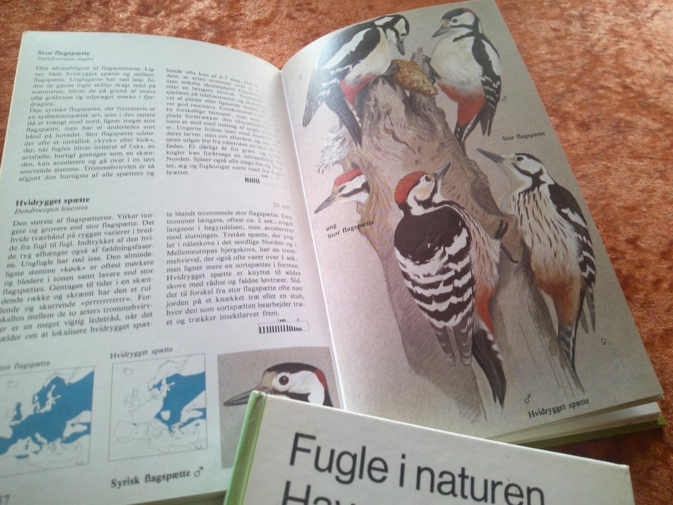 Fugle i naturen, Lars Jonsson,