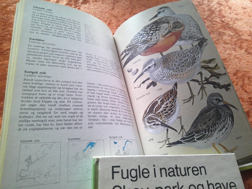 Fugle i naturen, Lars Jonsson,