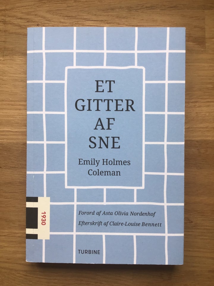 Et gitter af sne Emily Holmes