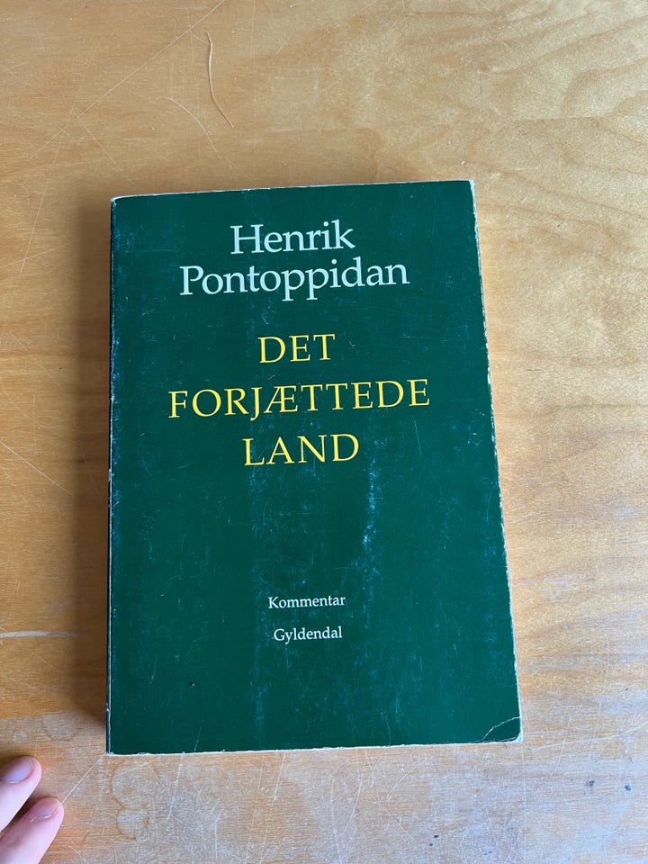 Det forjættede land - Kommentarer