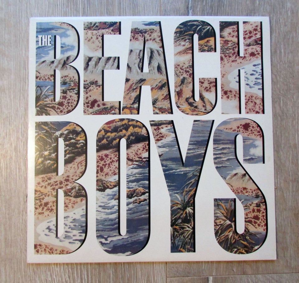 LP, THE BEACH BOYS, BEACH BOYS (85)