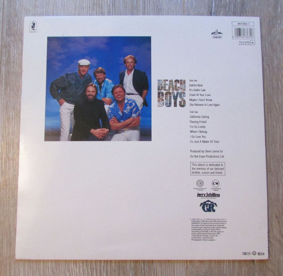 LP, THE BEACH BOYS, BEACH BOYS (85)