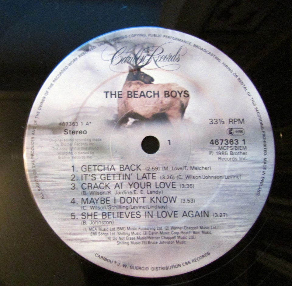 LP, THE BEACH BOYS, BEACH BOYS (85)