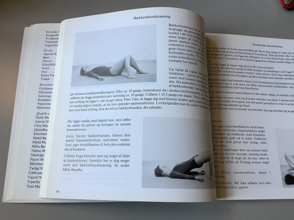 Hatha Yoga Vejledning , Guni