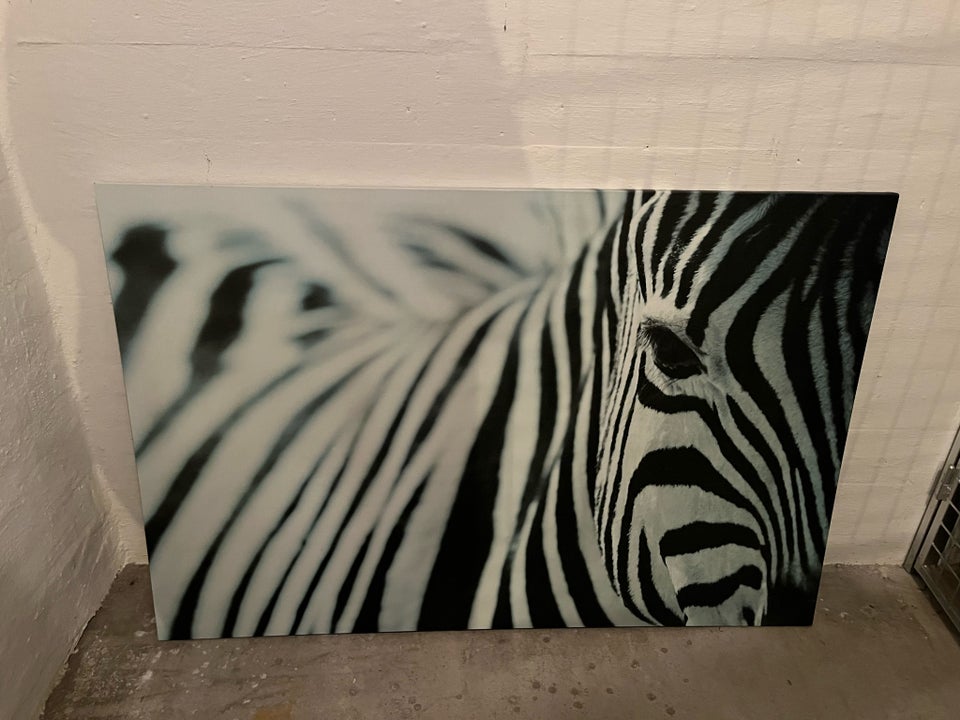 Lærred, Ikea, motiv: Zebra