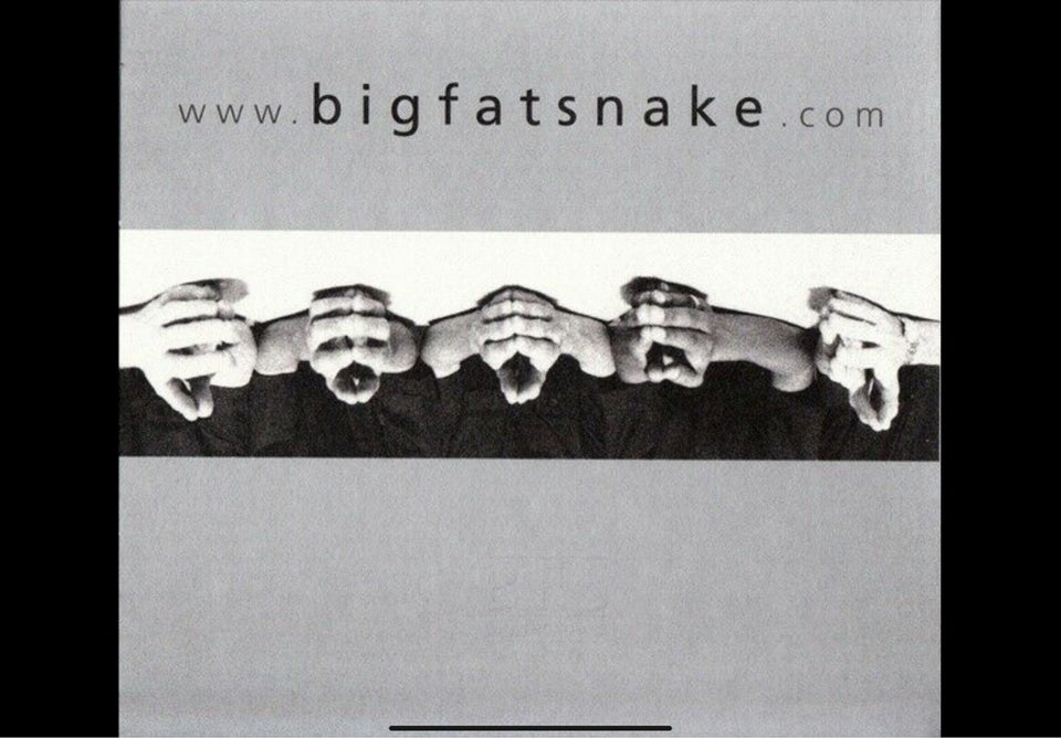 Bigfatsnake: Snakesongs, rock