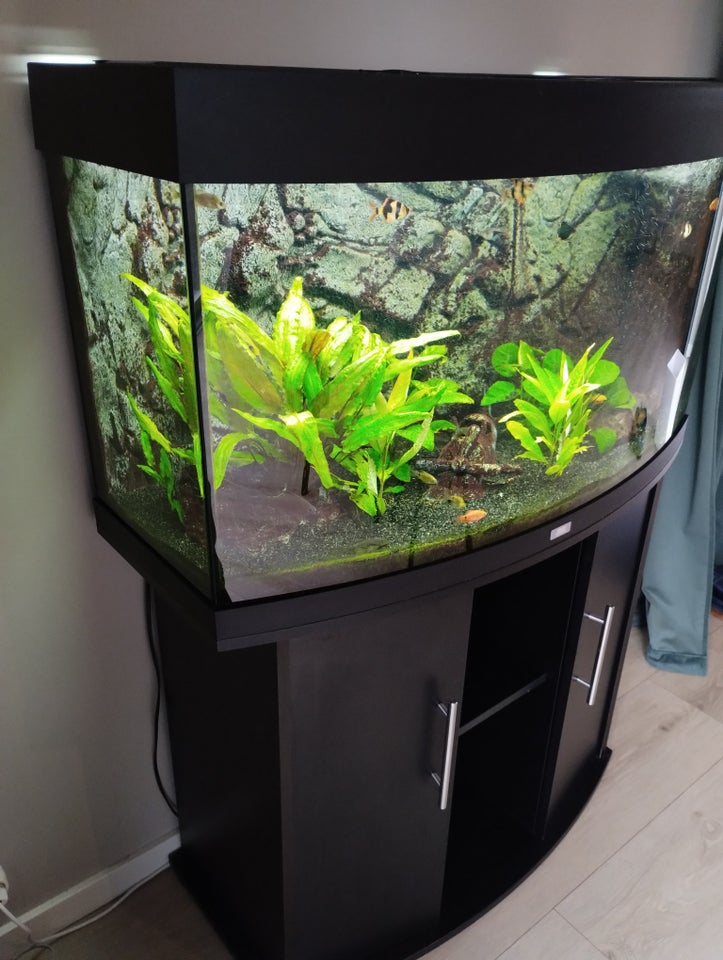 Akvarium, 180 liter, b: 92 d: 42 h: 56