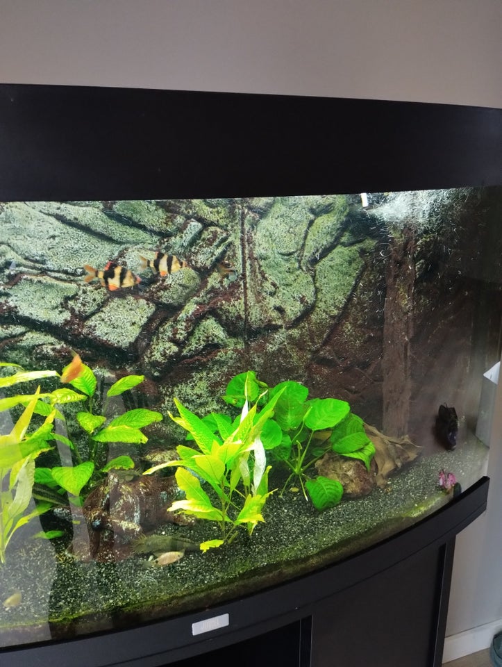 Akvarium, 180 liter, b: 92 d: 42 h: 56