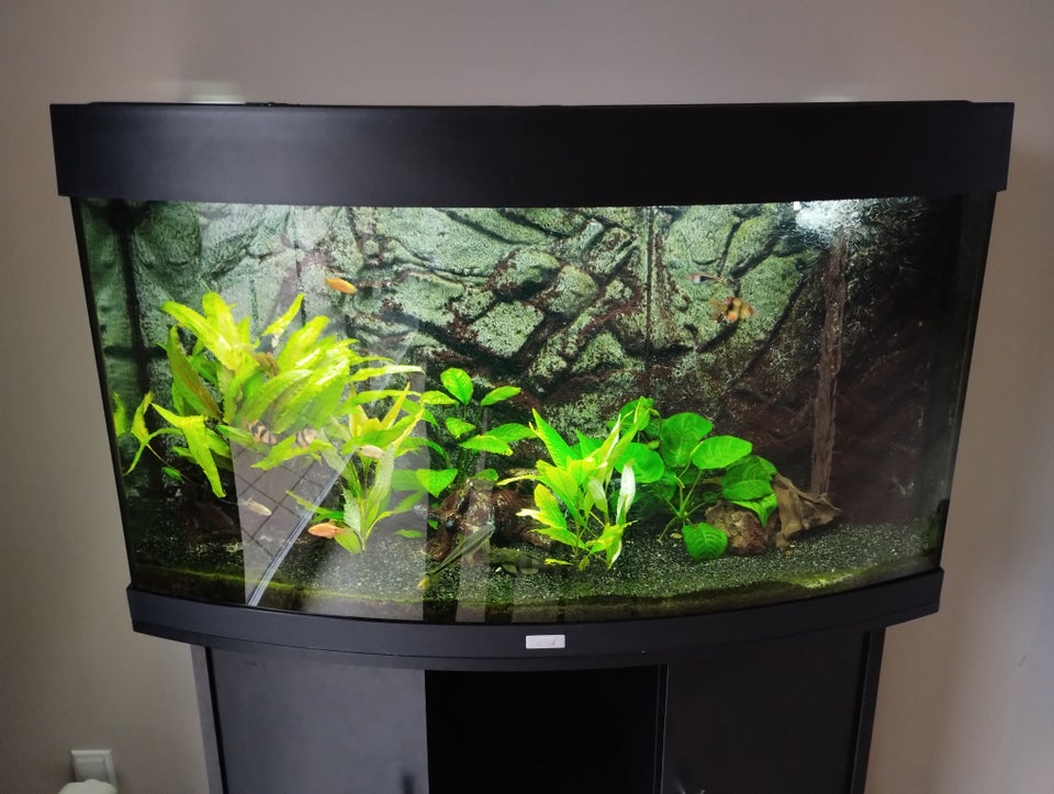 Akvarium, 180 liter, b: 92 d: 42 h: 56