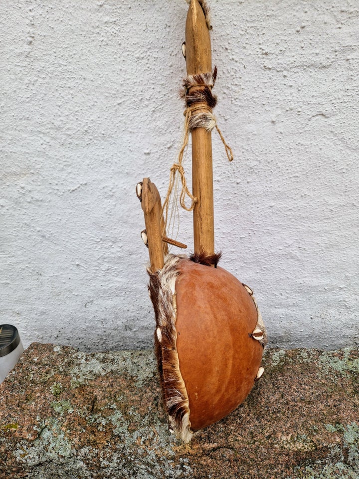 Afrikansk guitar, Afrikansk