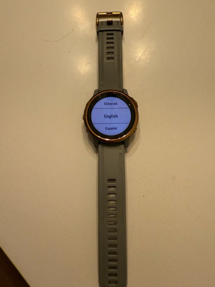 Smartwatch, Garmin