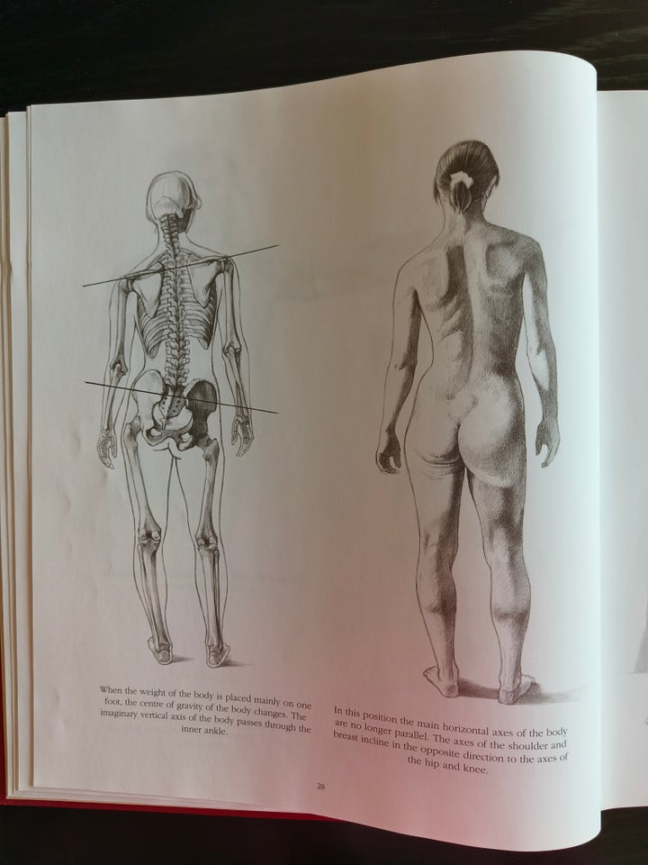 ANATOMY DRAWING SCHOOL, HUMAN,