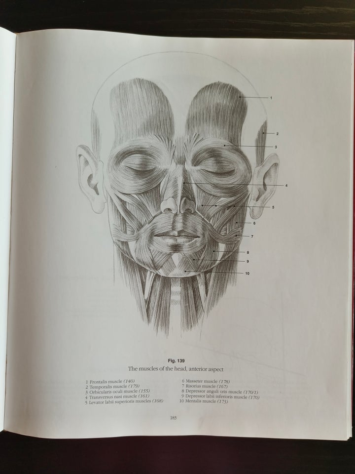 ANATOMY DRAWING SCHOOL, HUMAN,