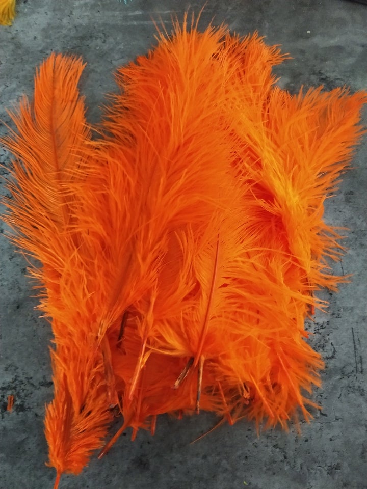 Andet, 50 orange strudsefjer 25 cm