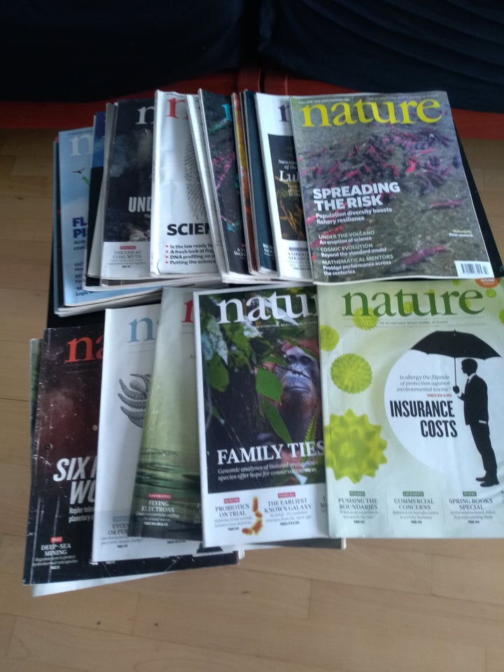 Nature, Magasin