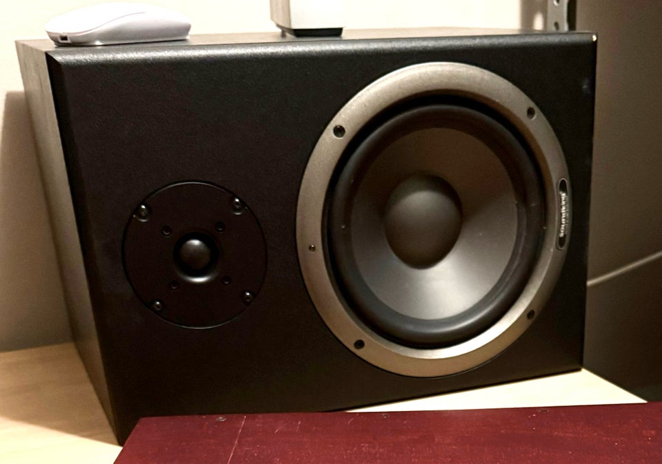 Aktiv monitor , Sound King