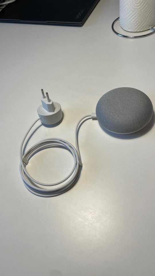 Andet, Google Home Mini