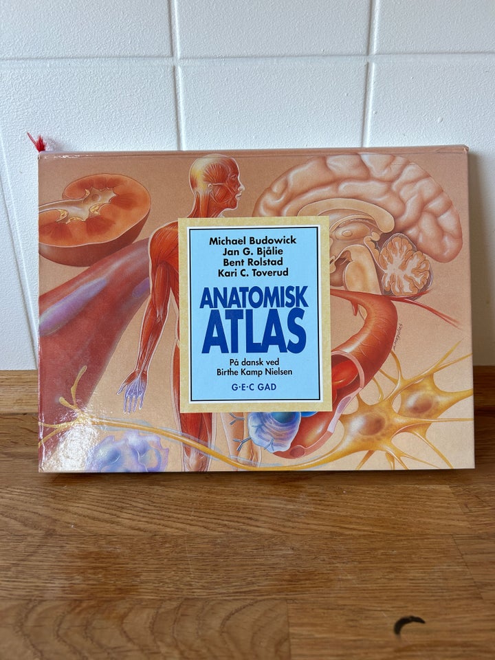 Anatomisk Atlas, Budowick, Bjålie