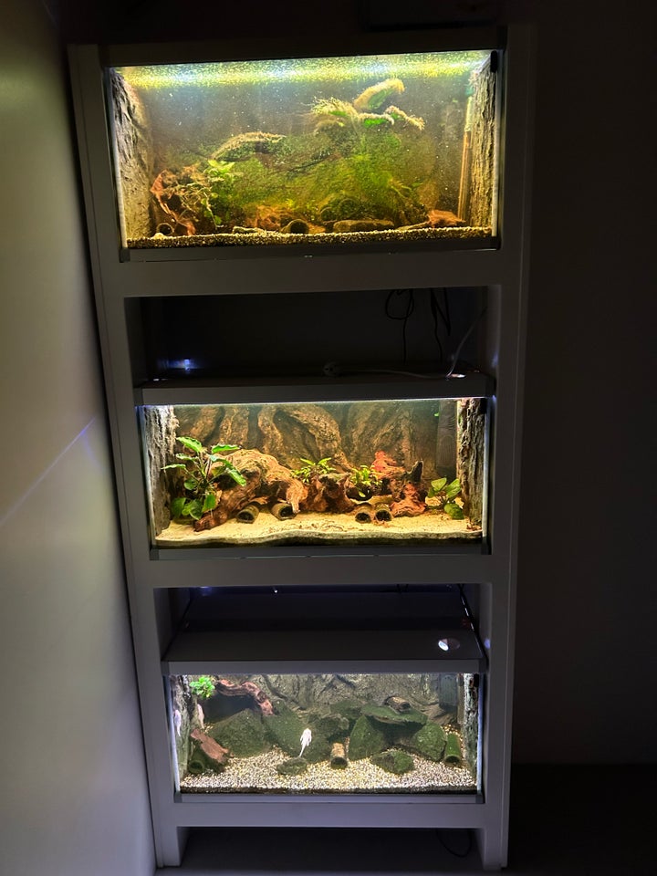 Akvarium