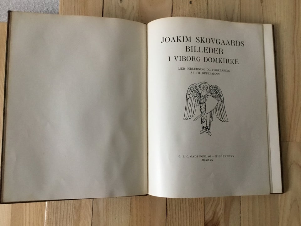 Joakim Skovgaards Billeder i