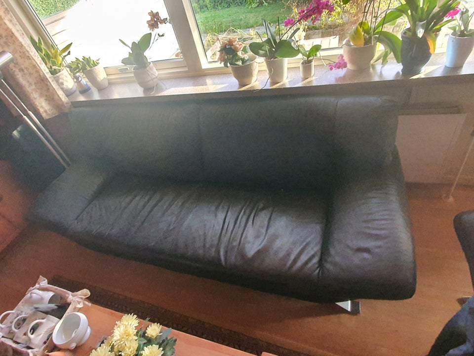 Sofa læder