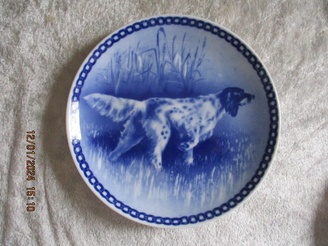 Porcelæn Platter Hunderacer