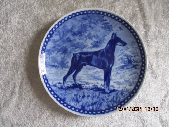 Porcelæn Platter Hunderacer