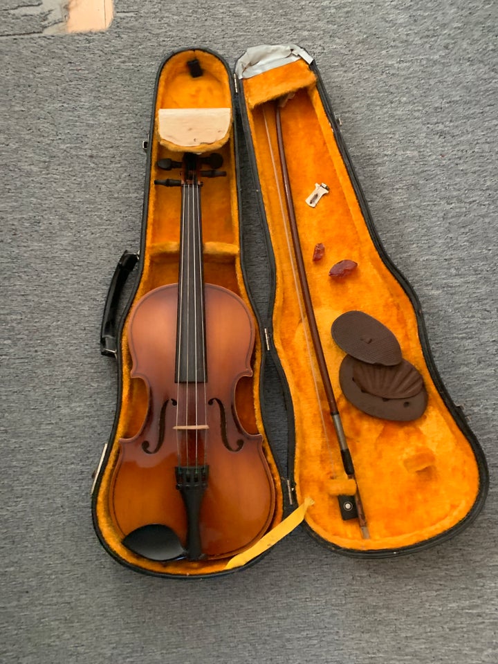 Violin