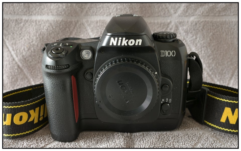 Nikon D100, 6 megapixels, 3 x optisk