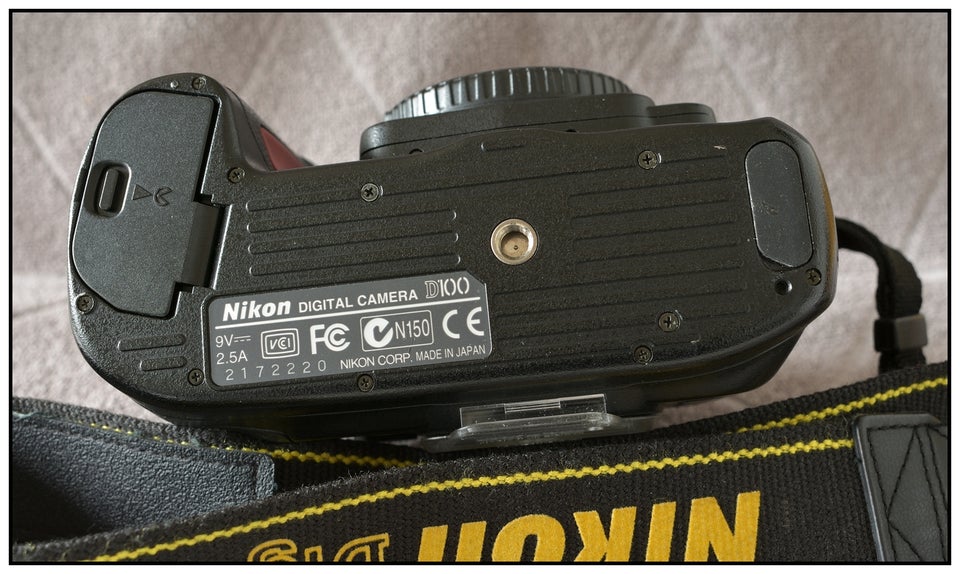 Nikon D100, 6 megapixels, 3 x optisk