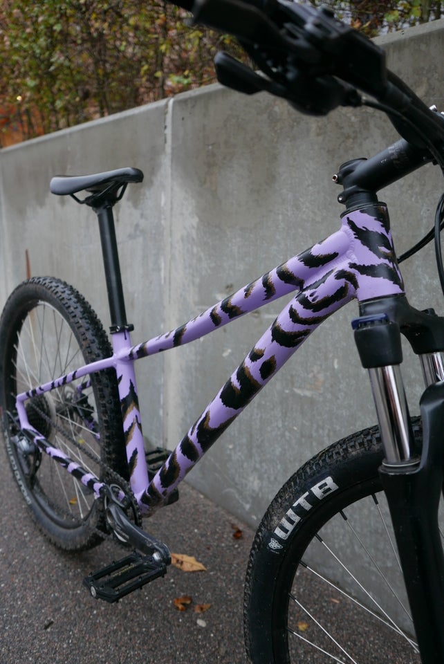 Specialized Rockhopper,