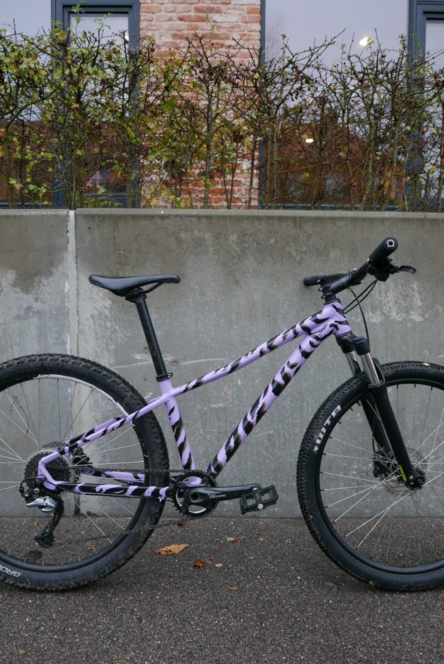 Specialized Rockhopper,