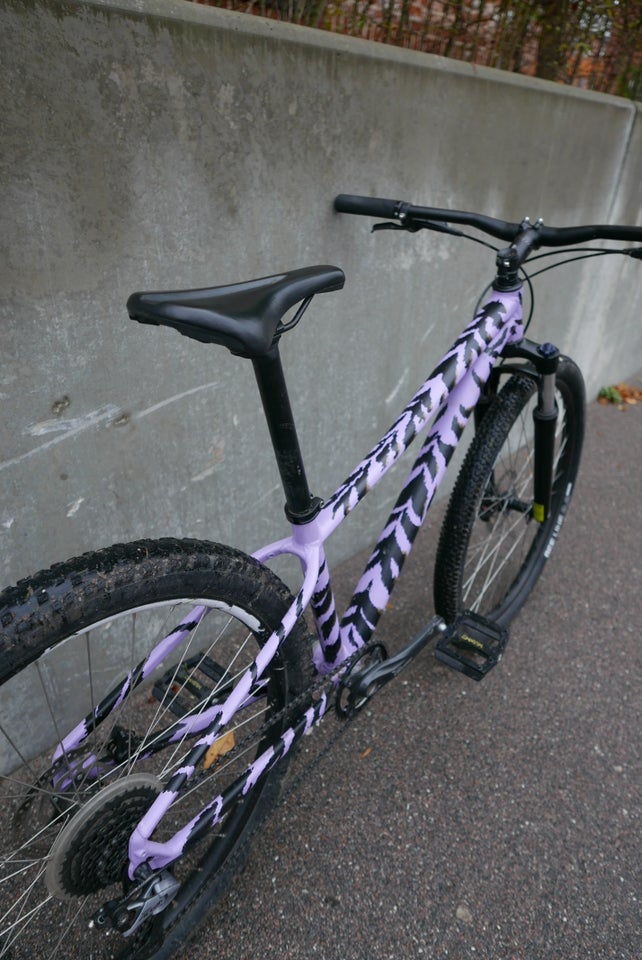 Specialized Rockhopper,